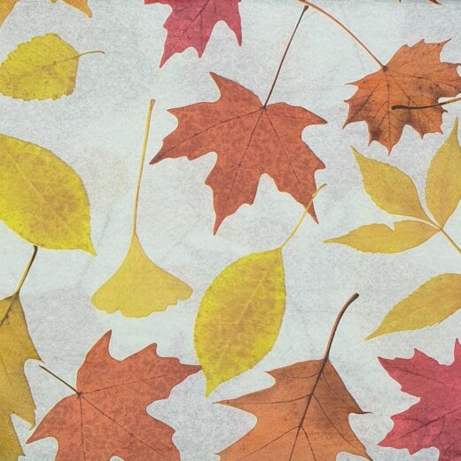 Autumn Leaves Printed Tissue Paper 20" x 30" 500 x 750mm 18gsm - Image 1
