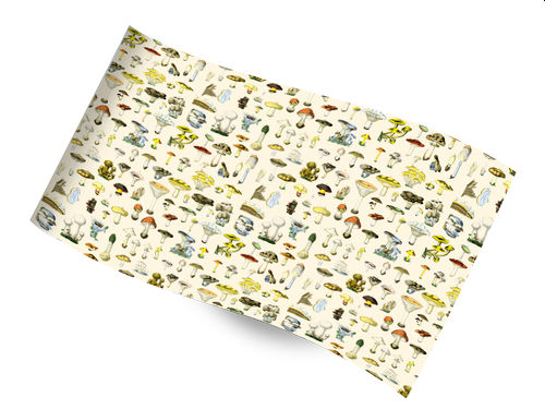Toadstools Printed Tissue Paper 20 x 30" 500 x 750mm 18gsm