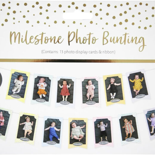 Months Milestone Photo Banner Bunting