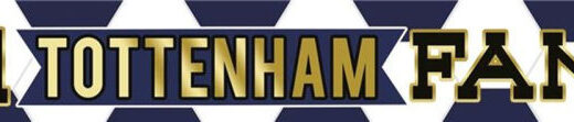 "NO.1 TOTTENHAM FAN!" Football Banner - Image 3